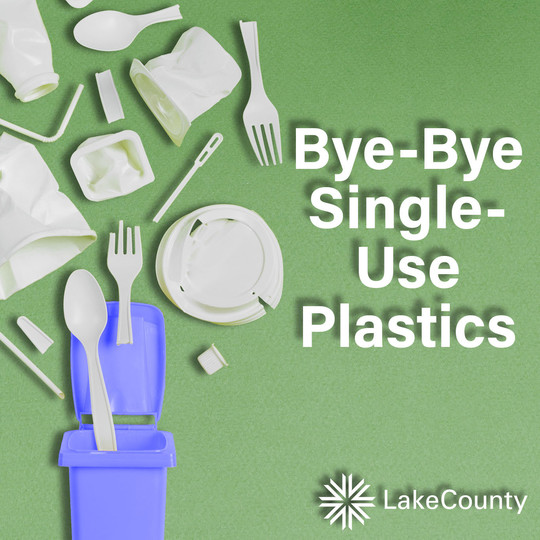 single-use plastics policy