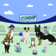 County Anti-tick team