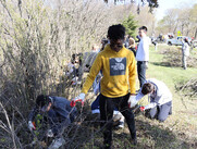 buckthorn