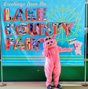 VLC summer festivals