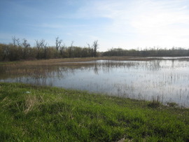 SMC wetlands