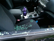 forest preserve safety