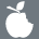 Color Generic Gray Icon 33
