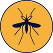 Mosquito