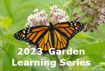 garden learning butterfly