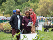 Oaktober tree and shrub sale