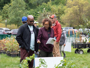 Oaktober tree and shrub sale