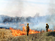prescribed burns