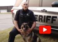 Dogs Lake County play button