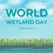World Wetlands Day