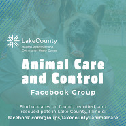 Animal Care and Control Facebook