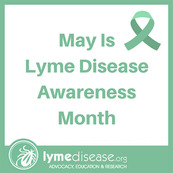 Lyme