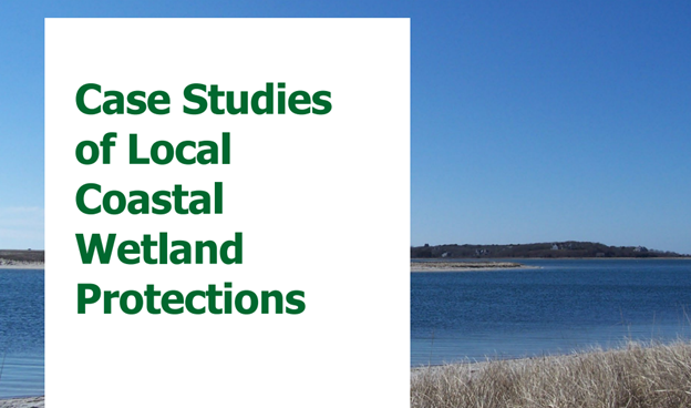 Cover local coastal wetland protections report