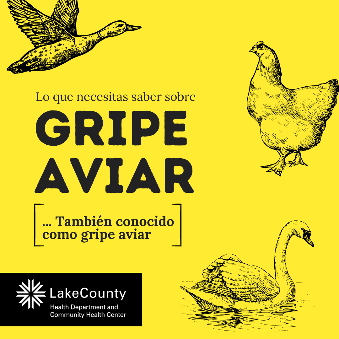 avian flu-es