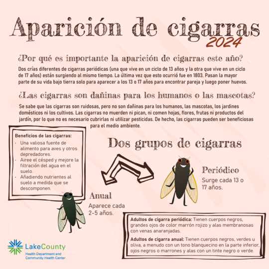 Cicadas-es