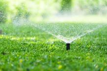 summer water restrictions