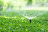 summer water restrictions