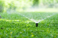 summer water restrictions
