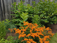 lcfpd smart gardening