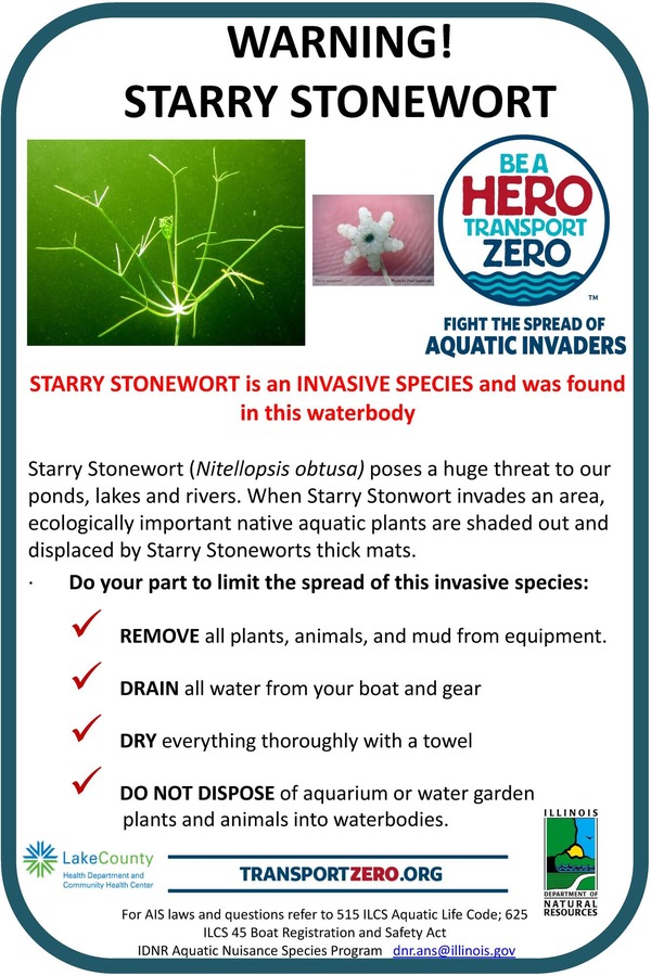 starry stonewort sign