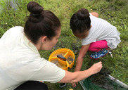 lcfpd ponding and water play