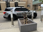 K9 Danno