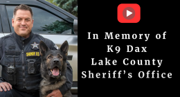 K9 Dax tribute play button