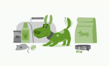 pet emergency preparedness