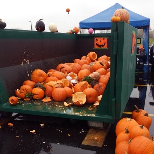 Pumpkin Collection and Compost Photo