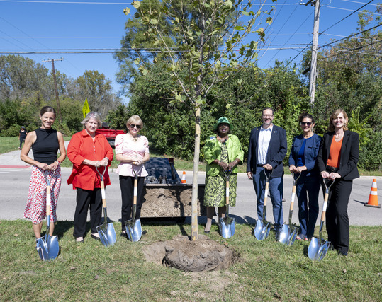 Tree Planting Waukegan