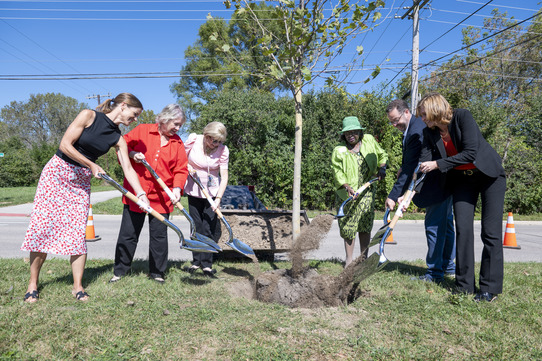 Waukegan tree planting