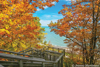 fall horizons lcfpd 2024