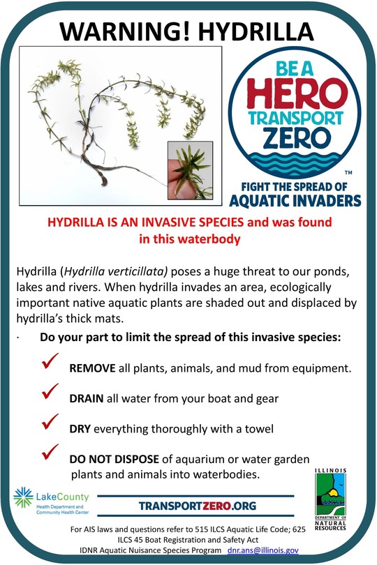 hydrilla sign