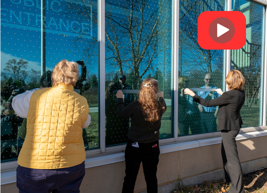 Maine Hart Pedersen bird strike event play button