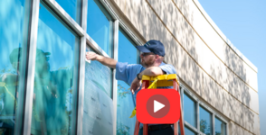 bird stirke CPF play button