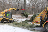 holiday tree recycling