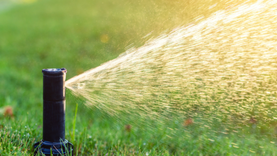 Lawn Sprinkler 