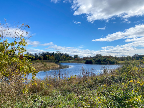 Nippersink Forest Preserve