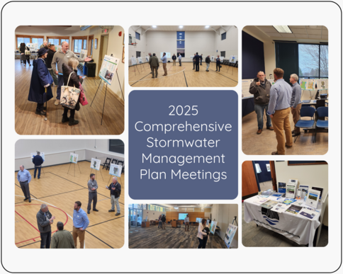 Comp Meeting Collage