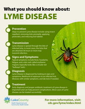 lyme disease 