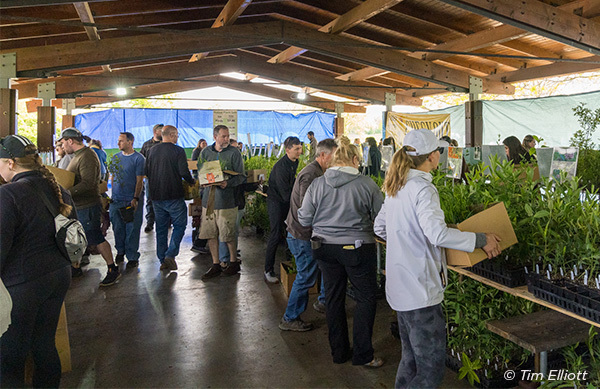 lcfpd plant sale