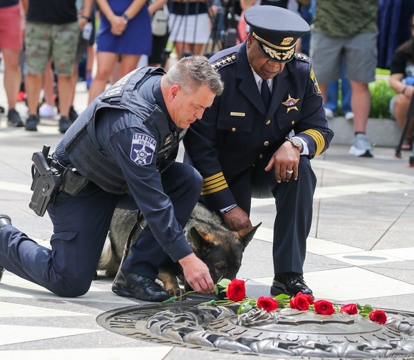 K9 Dax national honor