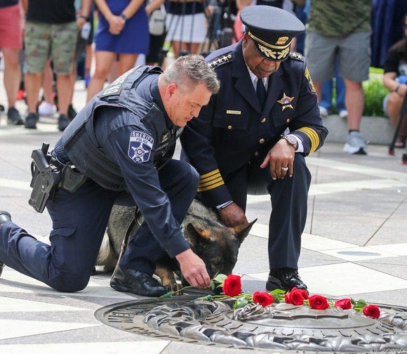 K9 Dax national honor