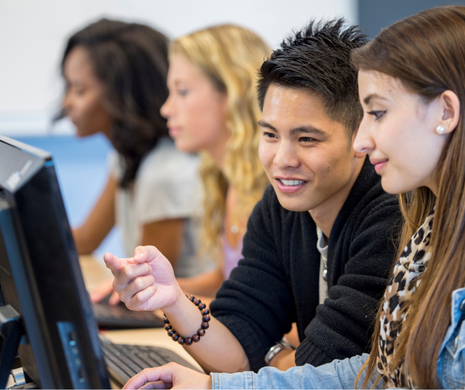 Digital skills license