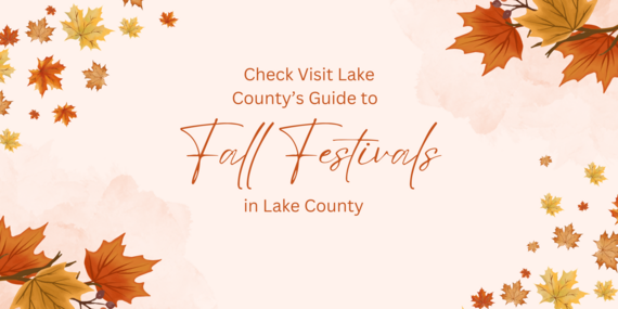 VLC fall festival
