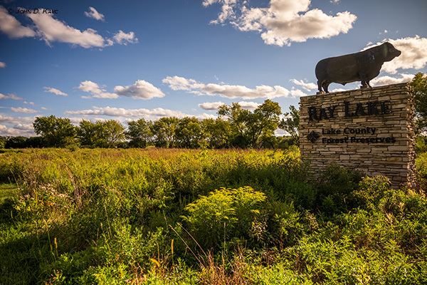 Ray Lake Forest Preserve