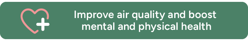 Improve air quality and boost mental and physical health