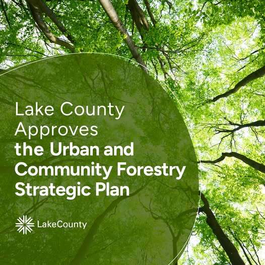Urban and Community Forestry Strategic Plan