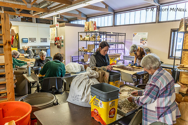 Native Seed Nursery at Rollins Savanna Forest Preserve