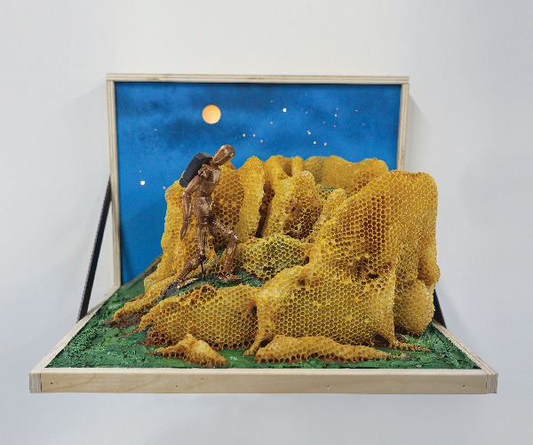 Lake County Forest Preserves pollinators